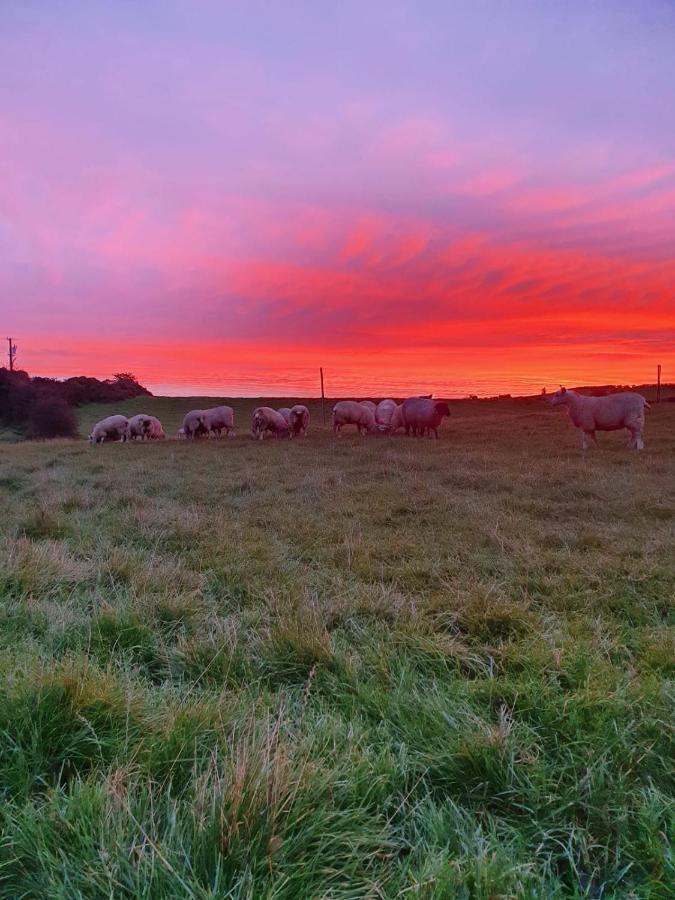 Claragh Cottage Cavan Bagian luar foto