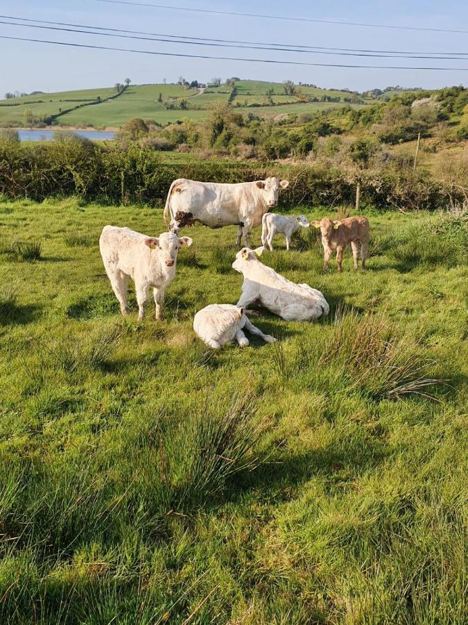 Claragh Cottage Cavan Bagian luar foto